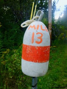 I Was Excited Seeing the Mile Marker Numbers Rise