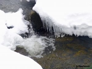 Icicles Hang above Emmit Brook