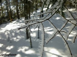 Hoarfrost Covered Branch on Little Moose Mountain