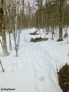 The Early Part of the Trail Had Bare Spots That Were Easy to Get Around