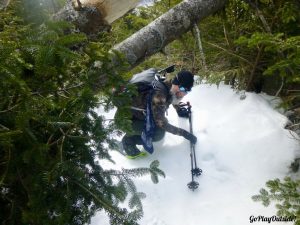 Frosty Scooches under Trees across the Trail