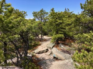 North Ridge Trail of Cadillac Mountain Acadia National Park Maine