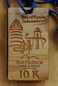 Bay of Fundy International Race