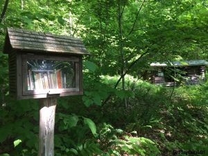 Little Free Library with Wiley Shelter in the Background Appalachian Trail NY