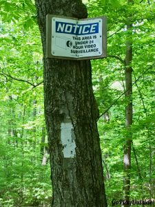 Ironic Sign in the Woods on the Appalachian Trail in New York