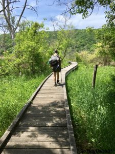 A Boardwalk on the Appalachian Trail in New York State