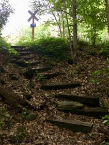 The Appalachian Trail Leading up to a Railroad Crossing