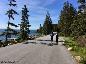 Park Loop Road Acadia National Park Mount Desert Island Maine