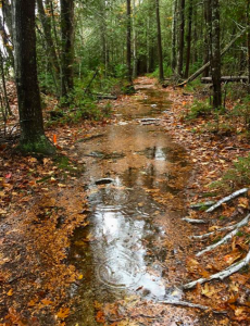 Frenchman Bay Conservancy Autumn Trail Race Double Trouble Trail Race Challenge