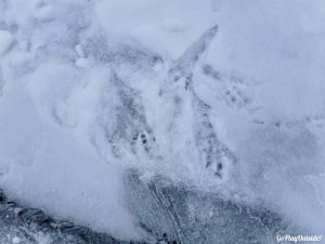 Bangor Outdoor Club Trip to Borestone Mountain