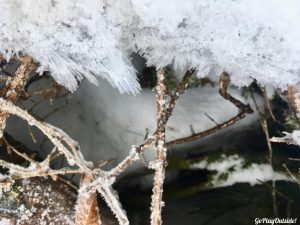 Little Moose Mountain Snowshoeing Greenville Area Moosehead Lake Region