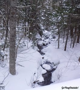 Bangor Outdoor Club Number Four Mountain Frenchtown Maine Snowshoeing