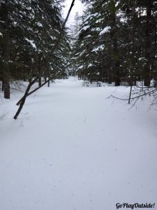 Bangor Outdoor Club Number Four Mountain Frenchtown Maine Snowshoeing