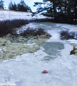 Great Pond Mountain Conservation Trust Orland Maine Microspikes Hiking Winter