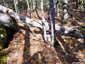 Great Pond Mountain Conservation Trust Orland Maine Microspikes Hiking Winter