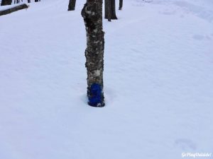 Winter Hike Eagle Rock Moosehead Lake Region Greenville Maine Snowshoe Pinnacle Pursuit