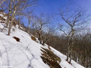 Chick Hill Little Chick Hill Clifton Maine