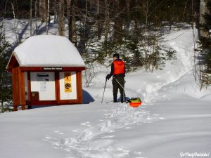 Big Moose Mountain Winter Hike Ski Snowshoe Greenville Moosehead Lake Region