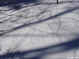 Big Moose Mountain Winter Hike Ski Snowshoe Greenville Moosehead Lake Region