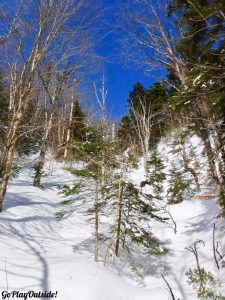 Big Moose Mountain Winter Hike Ski Snowshoe Greenville Moosehead Lake Region