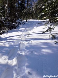 Big Moose Mountain Winter Hike Ski Snowshoe Greenville Moosehead Lake Region