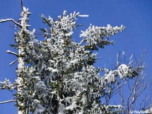 Big Moose Mountain Winter Hike Ski Snowshoe Greenville Moosehead Lake Region