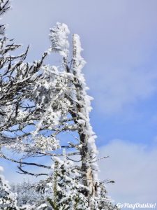 Big Moose Mountain Winter Hike Ski Snowshoe Greenville Moosehead Lake Region