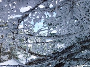 Big Moose Mountain Winter Hike Ski Snowshoe Greenville Moosehead Lake Region