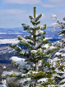 Big Moose Mountain Winter Hike Ski Snowshoe Greenville Moosehead Lake Region