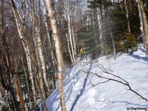 White Cap Mountain Whitecap 100 Mile Wilderness Moosehead Lake Region Greenville Maine Moosehead Pinnacle Pursuit Snowshoeing Winter Hiking 