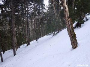 Little Moose Mountain Greenville Moosehead Lake Area Hiking Snowshoeing Winter
