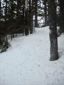 Little Moose Mountain Greenville Moosehead Lake Area Hiking Snowshoeing Winter