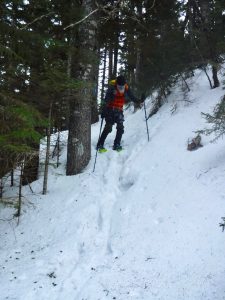 Little Moose Mountain Greenville Moosehead Lake Area Hiking Snowshoeing Winter