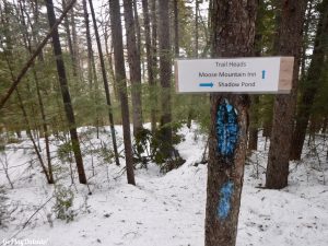 Little Moose Mountain Greenville Moosehead Lake Area Hiking Snowshoeing Winter