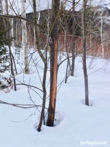 Burnt Mountain Burnt Hill Sugarloaf Carrabassett Valley Maine Snowshoe Hiking Winter