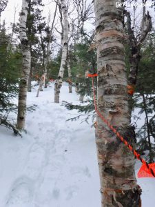 Burnt Mountain Burnt Hill Sugarloaf Carrabassett Valley Maine Snowshoe Hiking Winter