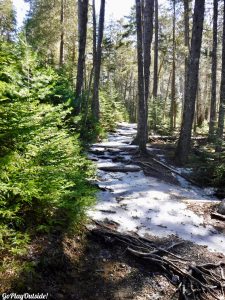 Acadia National Park Maine Pemetic Mountain Mount Dessert Island