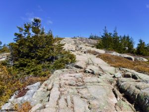 Acadia National Park Maine Pemetic Mountain Mount Dessert Island