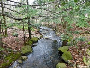 Eddington Maine Blackcap Mountain Hiking