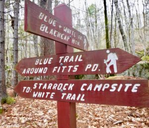 Eddington Maine Blackcap Mountain Hiking