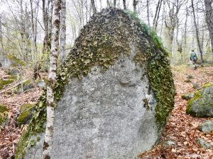 Eddington Maine Blackcap Mountain Hiking