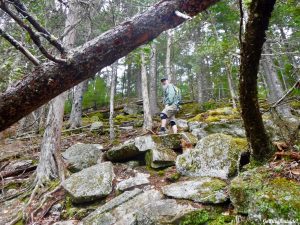 Eddington Maine Blackcap Mountain Hiking