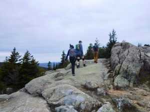 Acadia National Park Cadillac Mountain South Ridge Trail Mount Desert Island