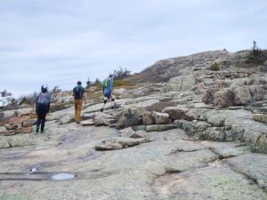 Acadia National Park Cadillac Mountain South Ridge Trail Mount Desert Island