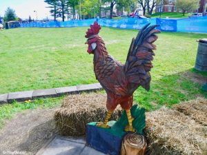 Pineland Farms Pineland Trail Festival New Gloucester Maine Trail Race Ultra