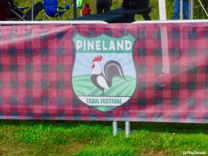 Pineland 