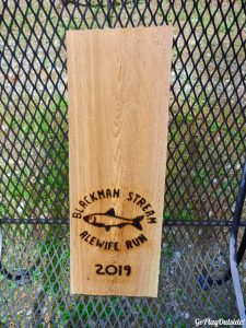 4th Annual Blackman Stream Alewife Run 5K Bradley Maine Trail Race Maine Forest and Logging Museum Leonard's Mill