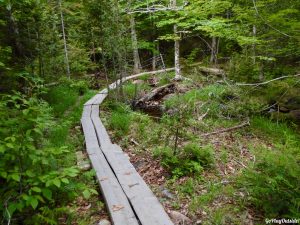 Cadillac Mountain Acadia National Park Maine CATT Challenge Cadillac All The Trails