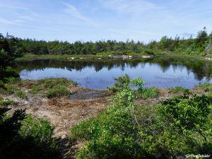 Cadillac Mountain Acadia National Park Maine CATT Challenge Cadillac All The Trails