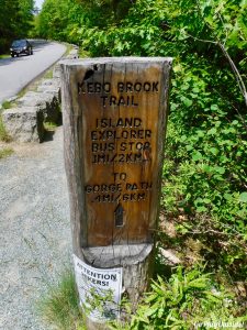 Cadillac Mountain Acadia National Park Maine CATT Challenge Cadillac All The Trails